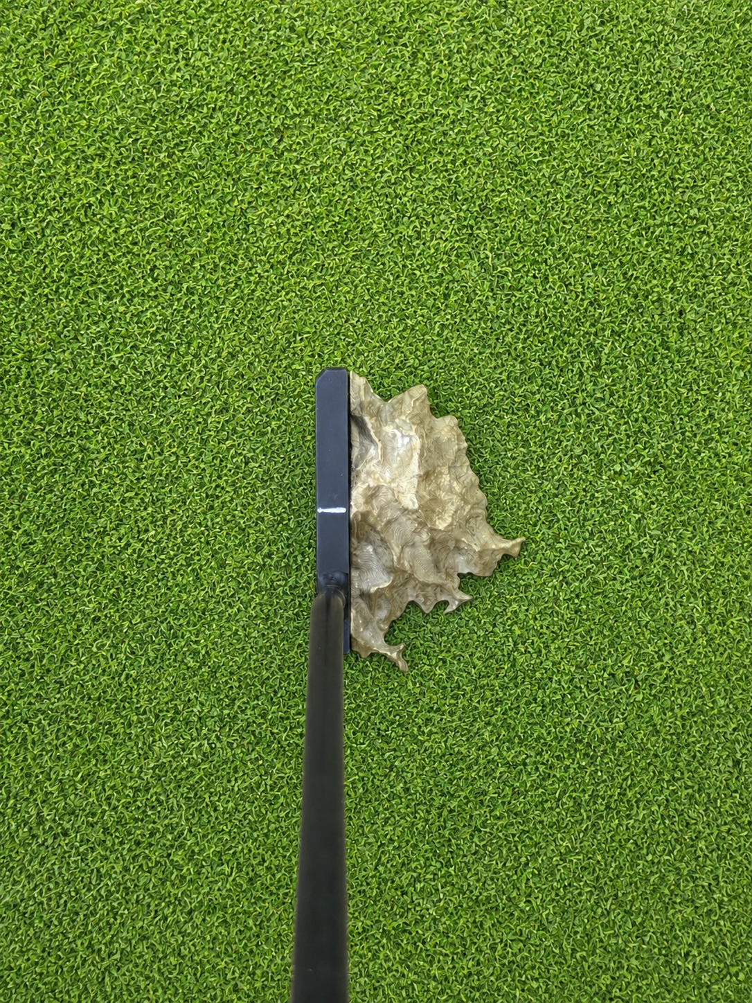 Denali Putter