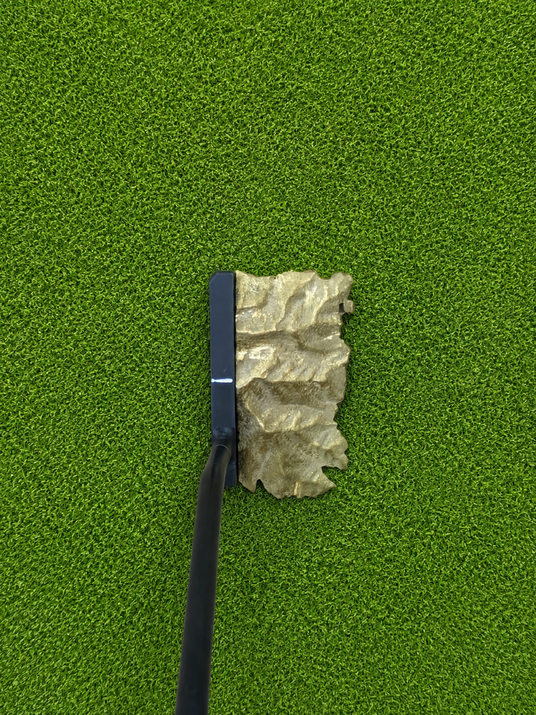 Mt Princeton Putter